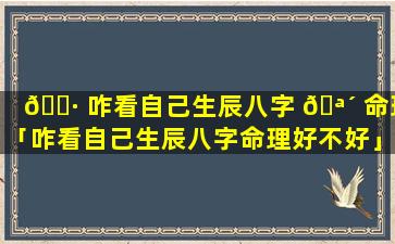 🕷 咋看自己生辰八字 🪴 命理「咋看自己生辰八字命理好不好」